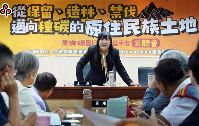 台灣新聞通訊社-排審預算爆爭議  伍麗華回擊羅廷瑋：欺負我對你的善良