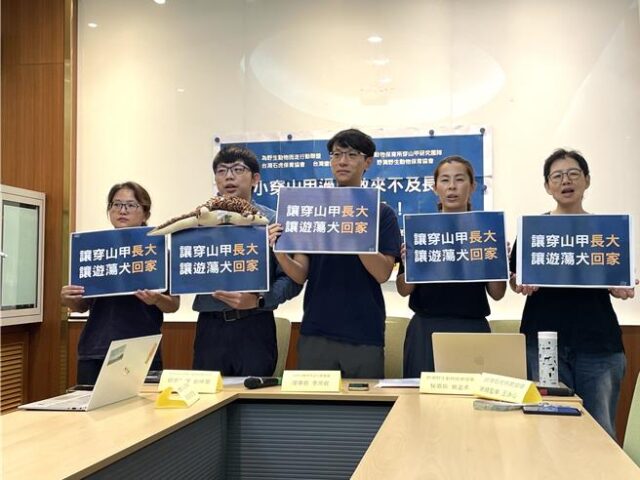 台灣新聞通訊社-6成幼年穿山甲死於犬隻攻擊 動團籲生態熱區禁餵法制化