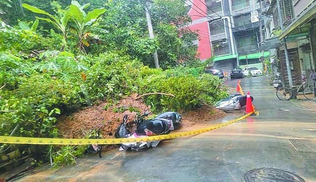 台灣新聞通訊社-青鳥扯內湖時雨量70幾毫米怎會淹水？粉專打臉 再酸2人不懂就回去唱歌