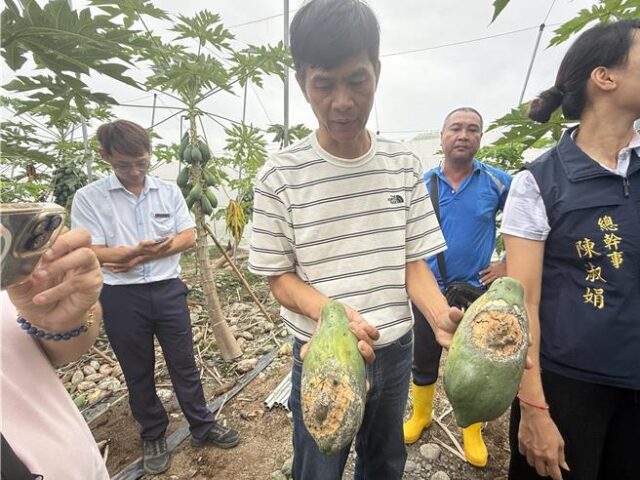 台灣新聞通訊社-屏東農損破1.8億！20項大宗作物免現勘 現金救助開跑