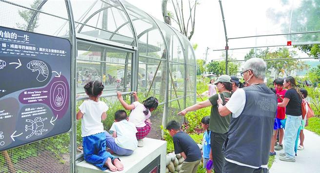 台灣新聞通訊社-才剛被曬死!東勢獨角仙公園又遭屁孩毒手:快被拆台了