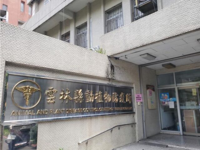 台灣新聞通訊社-非洲狐獴現蹤雲林田邊！網傻眼：怎麼會在這