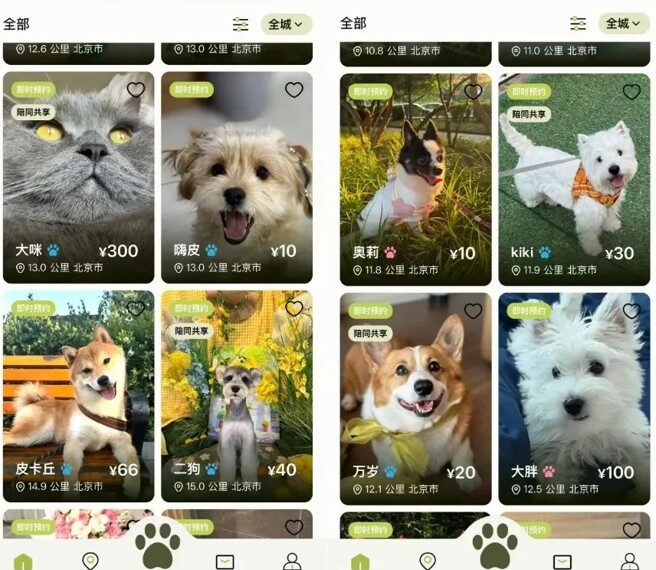 台灣新聞通訊社-寵物共享經濟崛起! 年輕人搶當「臨時鏟屎官」