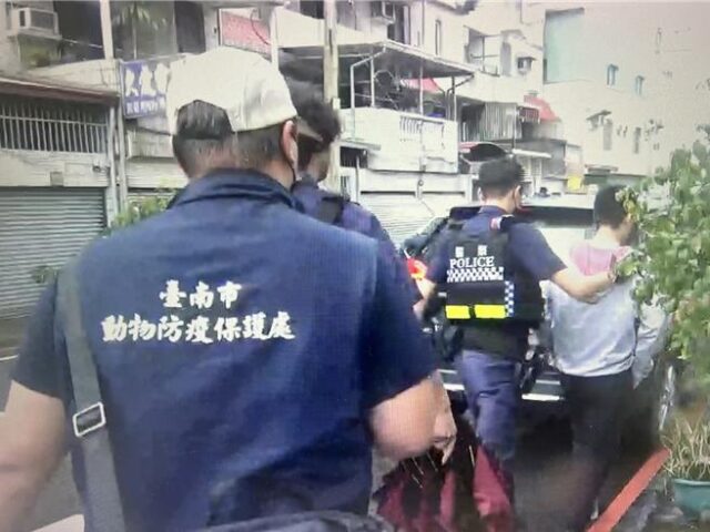 台灣新聞通訊社-嘴秋男狂傳虐貓片 動保處「查無證據」引網怒