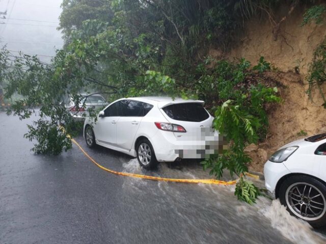 台灣新聞通訊社-綠打「路淹燈貴水溝塞」   歷史哥：他們現在最崇拜韓國瑜
