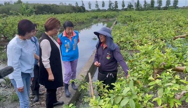 台灣新聞通訊社-豪雨災情接力發生 果樹恐現延遲性農損