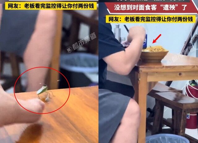 台灣新聞通訊社-飛蟲亂入隨手一彈！ 鄰桌客無辜「加菜」引熱議