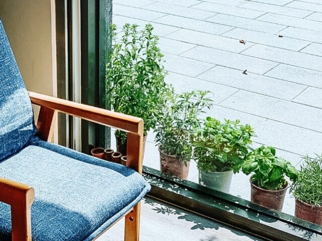 台灣新聞通訊社-高雄人氣早午餐突停業 Google頁面曝原因「老闆遭父親家暴」