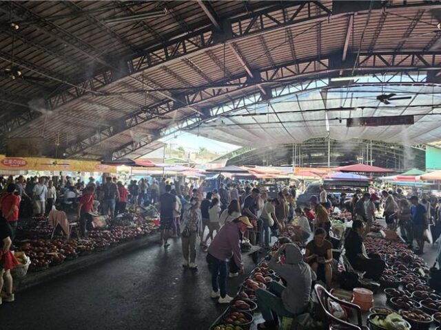 台灣新聞通訊社-端午連假瘋買芒果！5000人湧玉井 台84線車流回堵2公里