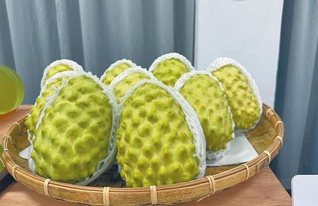 台灣新聞通訊社-陸委會批鳳梨䆁迦仰大陸鼻息 農業部：標準養套殺