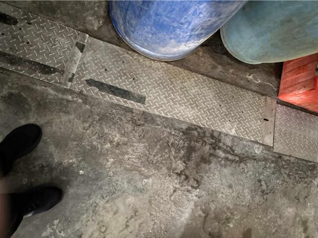 台灣新聞通訊社-鼠患燒到台南！關廟市場抓鼠賞百元 59公有市場全面防鼠