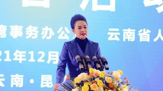 台灣新聞通訊社-鄭麗文出訪美國帶這人　林楚茵：赴美交流還是赴美交差？