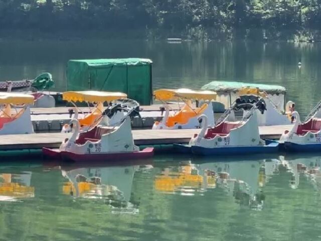 台灣新聞通訊社-花蓮鯉魚潭盼觀光復甦　105艘腳踏船完成安檢