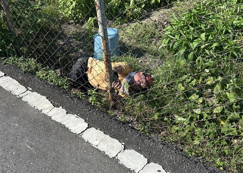 台灣新聞通訊社-82歲老農夏至頂烈日除草！熱衰竭倒菜園昏厥　清潔隊員眼尖急救命