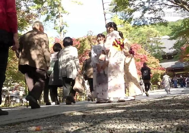 台灣新聞通訊社-網傳台人7月赴日「簽證貴5倍」　真相曝光！旅日達人一句話解答