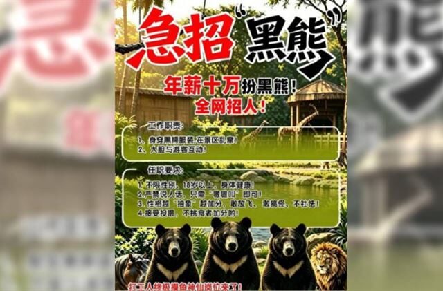 台灣新聞通訊社-陸動物園徵人扮黑熊！每天6小時禁說人話　還得讓遊客「餵食」