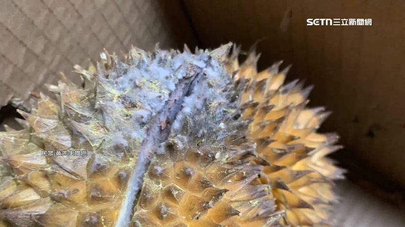 台灣新聞通訊社-花近4千買榴槤全發霉　客控想退貨遭冷處理