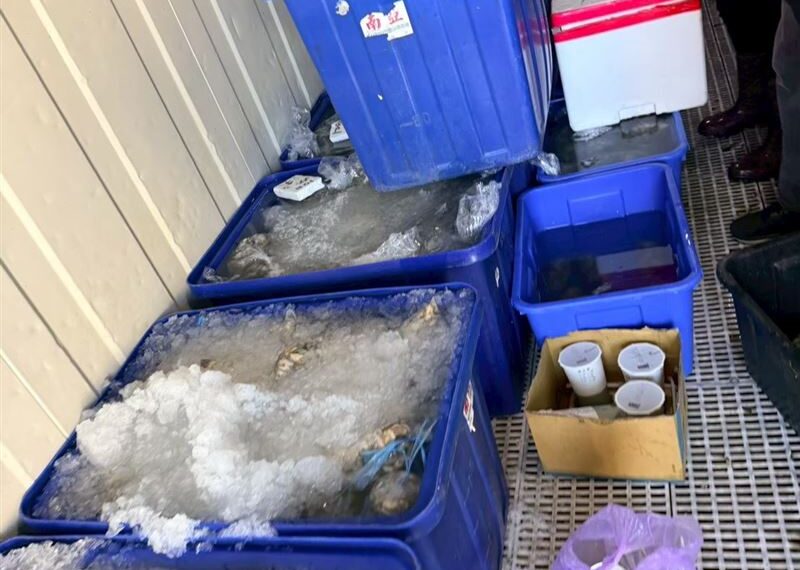 台灣新聞通訊社-布袋鮮蚵有假！盤商「越南進貨」賣大賣場　4個月賣逾萬包「狠撈51萬」
