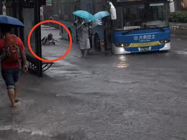 台灣新聞通訊社-內湖暴雨淹成河⋯內工男同學下公車慘跌！起身「超暖1舉動」網全讚爆