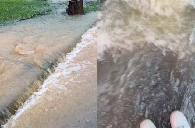 台灣新聞通訊社-單日雨量破500毫米！屏科大馬路成急流　驚險救出受困騎士