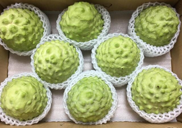 台灣新聞通訊社-中國喊幫助台灣農漁民　陸委會：「養套殺」過程