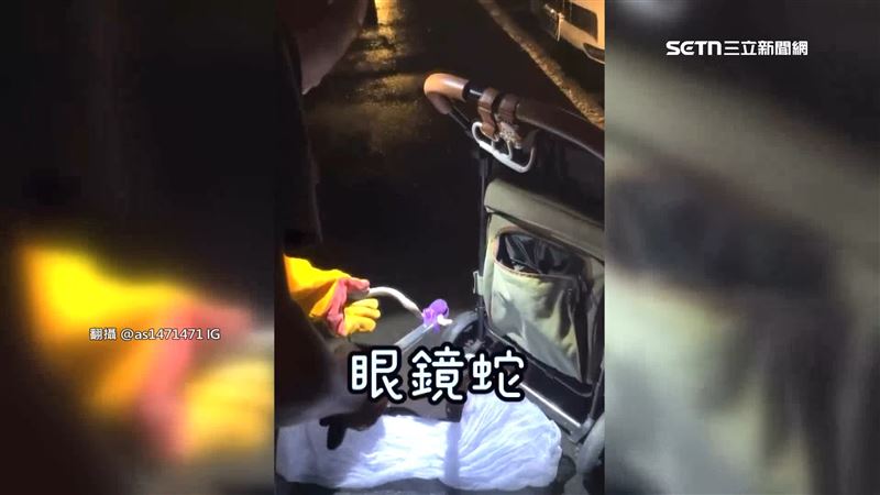 台灣新聞通訊社-接機驚見不速之客！狗推車藏「蛇」民眾嚇壞