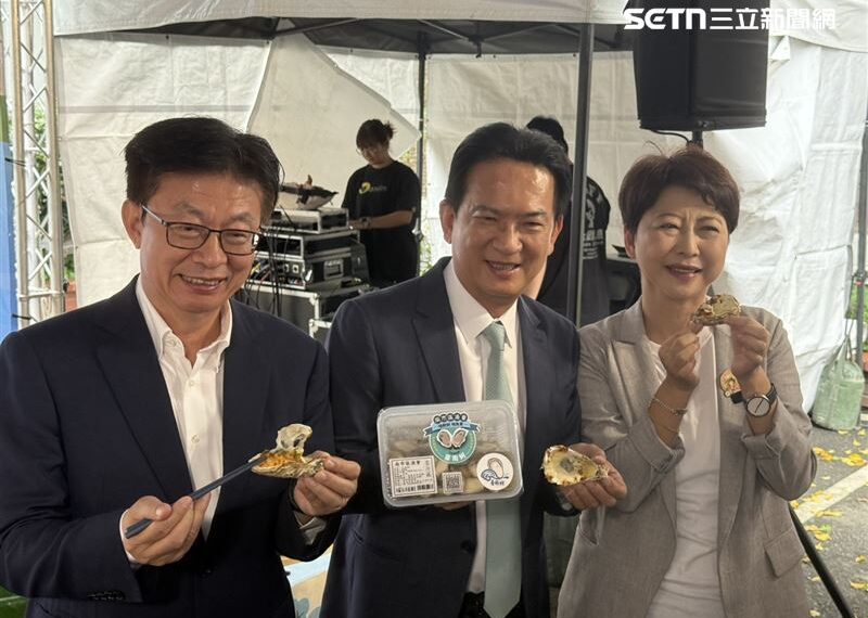 台灣新聞通訊社-分析2026綠營戰略！他點名南高防線與翻盤熱區：拿下新北總統穩了