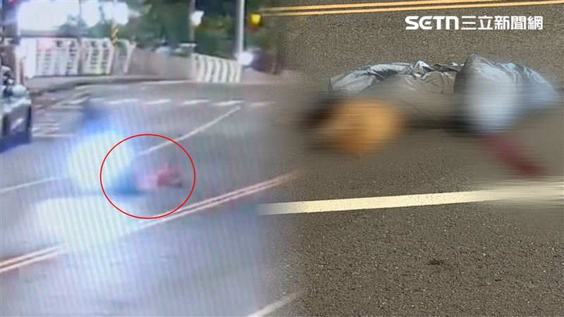 台灣新聞通訊社-1死2傷車禍!小黃狗遭輾「肚破腸流」衣裹屍…警急尋飼主
