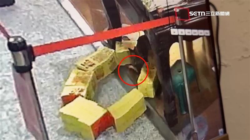 台灣新聞通訊社-小貓闖福德祠「推倒立筊」 信徒笑:虎爺派來的