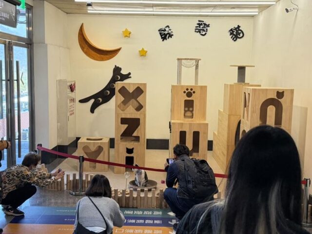 台灣新聞通訊社-傳新左營站貓咪樂園將拆除！台鐵急澄清：施工暫時封閉
