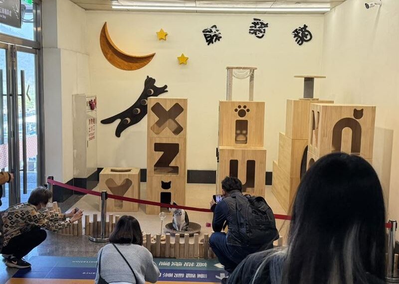 台灣新聞通訊社-傳新左營站貓咪樂園將拆除！台鐵急澄清：施工暫時封閉