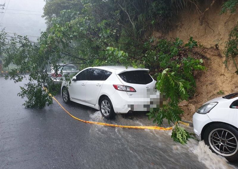 台灣新聞通訊社-快訊／雨彈狂襲雙北！北市內湖爆災情　「樹枝砸小客車」現場畫面曝光