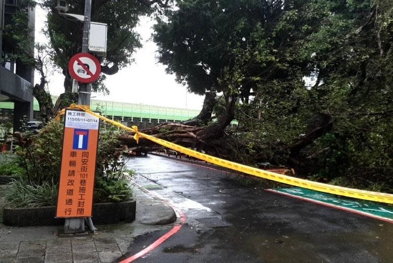 台灣新聞通訊社-北市水源路樹木傾倒壓壞汽車 現場警戒無人受傷