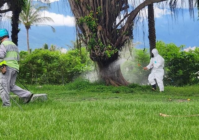 台灣新聞通訊社-女嬰確診日本腦炎！高風險「感染源地點」曝光　周邊充斥稻田與水溝