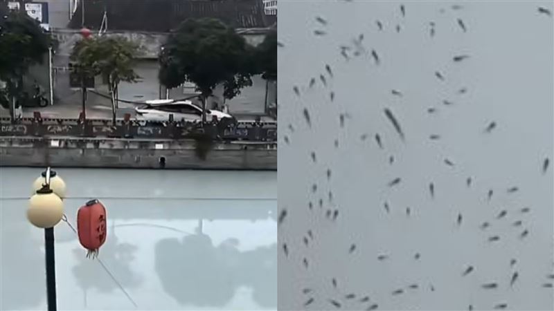台灣新聞通訊社-浙江驚現「牛奶河」大量魚群浮出!環保局稱無毒 網怒:你喝看看