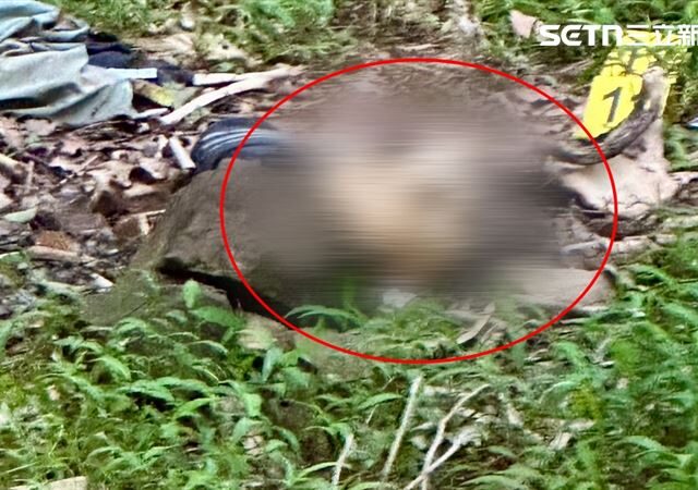台灣新聞通訊社-快訊／登山步道…躺一顆斷頭顱「骨骸引路」！死者身份曝光
