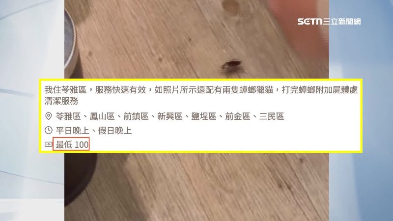 台灣新聞通訊社-獨家／代打蟑螂夯！勇士接單賺外快　1小時450元「抓到飽」