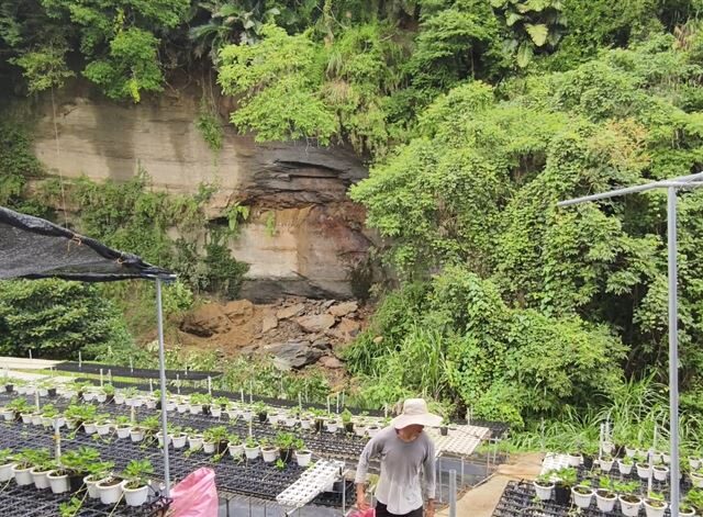 台灣新聞通訊社-連日大雨突傳巨響！大湖5層樓高山壁大片崩落　居民驚：30年第1次