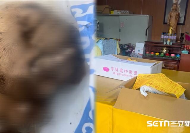 台灣新聞通訊社-法鬥餓60天亡…遭棄屍吐舌「死不瞑目」！縣府要查飼主了