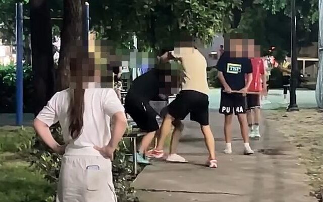 台灣新聞通訊社-大雅球場亂打人踢鐵板！嘴秋男遭「鐵拳教育」痛扁…在地人：終於被制裁