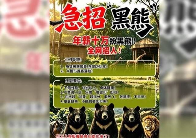 台灣新聞通訊社-年薪47萬包吃住！中國動物園急徵假黑熊 網見1條件嚇退：超心酸