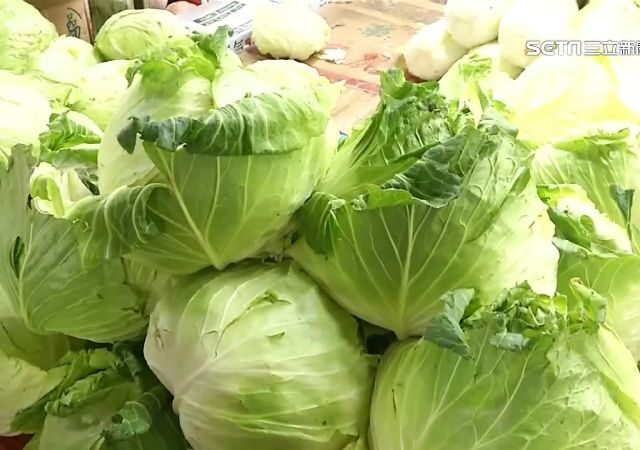 台灣新聞通訊社-國外買「台灣高麗菜」產地寫中國！廠商回覆曝光她不買了　網：多自卑？