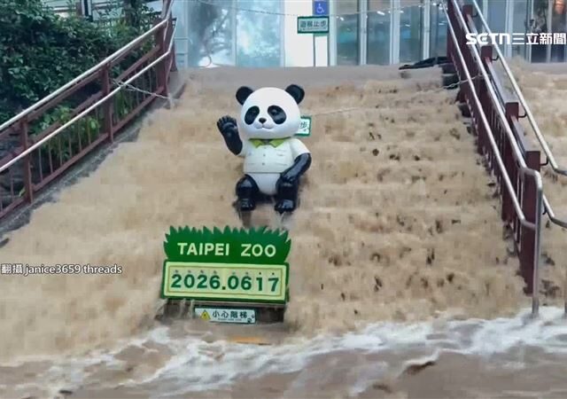 台灣新聞通訊社-暴雨灌動物園！貓熊館變瀑布、大象展區滲泥水