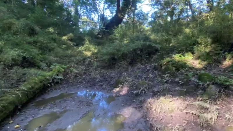 台灣新聞通訊社-爆獵人擅自帶遊客進原住民獵場 鄒族獵人協會發聲了