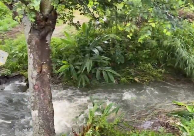 台灣新聞通訊社-新豐老農巡菜園失聯！「以為漂到出海口」竟半裸陳屍「山坡地」檢警要查