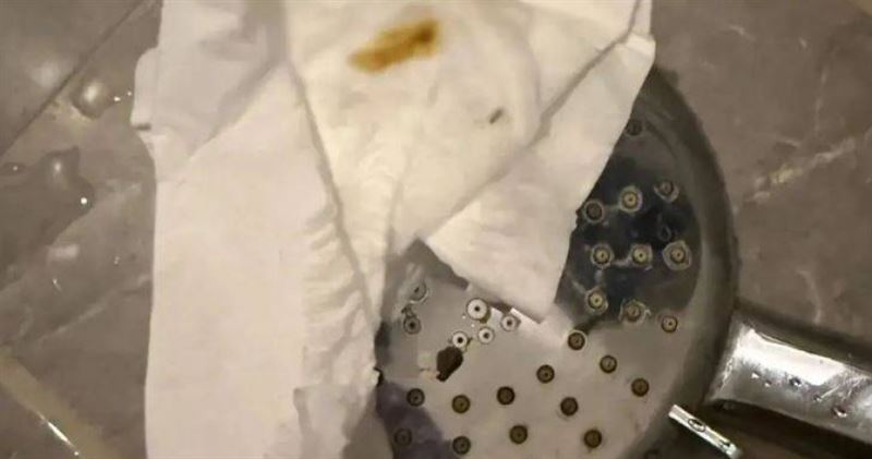 台灣新聞通訊社-噁到起雞皮疙瘩！女友洗澡驚見「蓮蓬頭有屎」情侶傻眼　飯店只願賠5百
