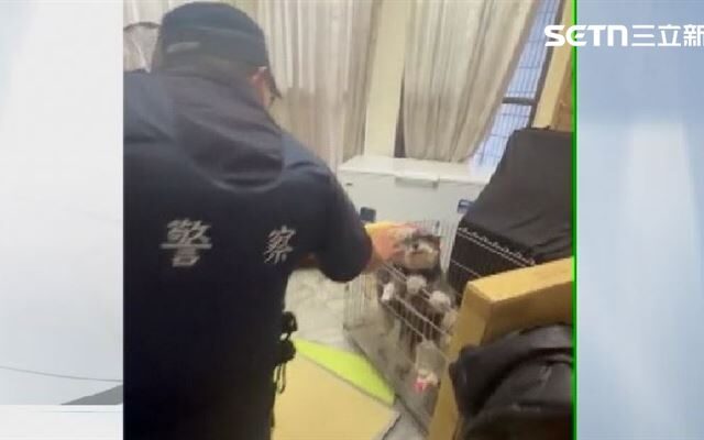台灣新聞通訊社-虐貓PO網惹眾怒！飼主住家遭丟雞蛋、撒冥紙