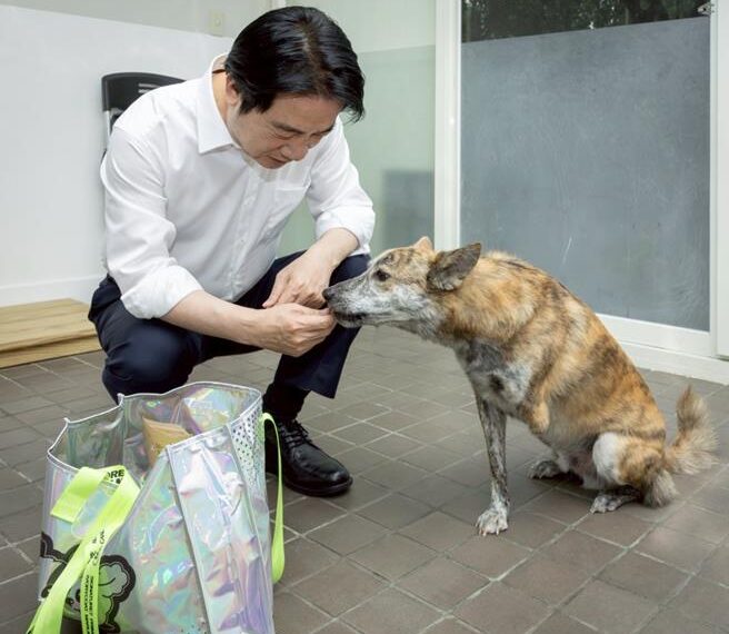 台灣新聞通訊社-賴清德親嚐狗食 全是為了「他」