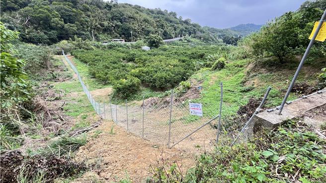 台灣新聞通訊社-高接梨防「猴」又防「豬」苗栗推非致死驅趕術保收成