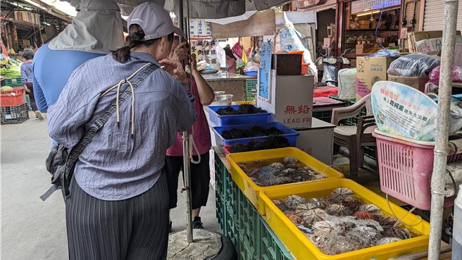 台灣新聞通訊社-澎湖馬糞海膽開採前一夜大執法!空拍機秒揪「6人偷跑」送辦查扣百餘顆